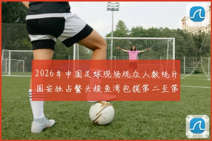 2026年中国足球现场观众人数统计国安独占鳌头梭鱼湾包揽第二至第七位