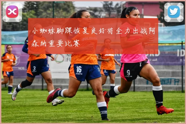 小蜘蛛脚踝恢复良好将全力出战阿森纳重要比赛